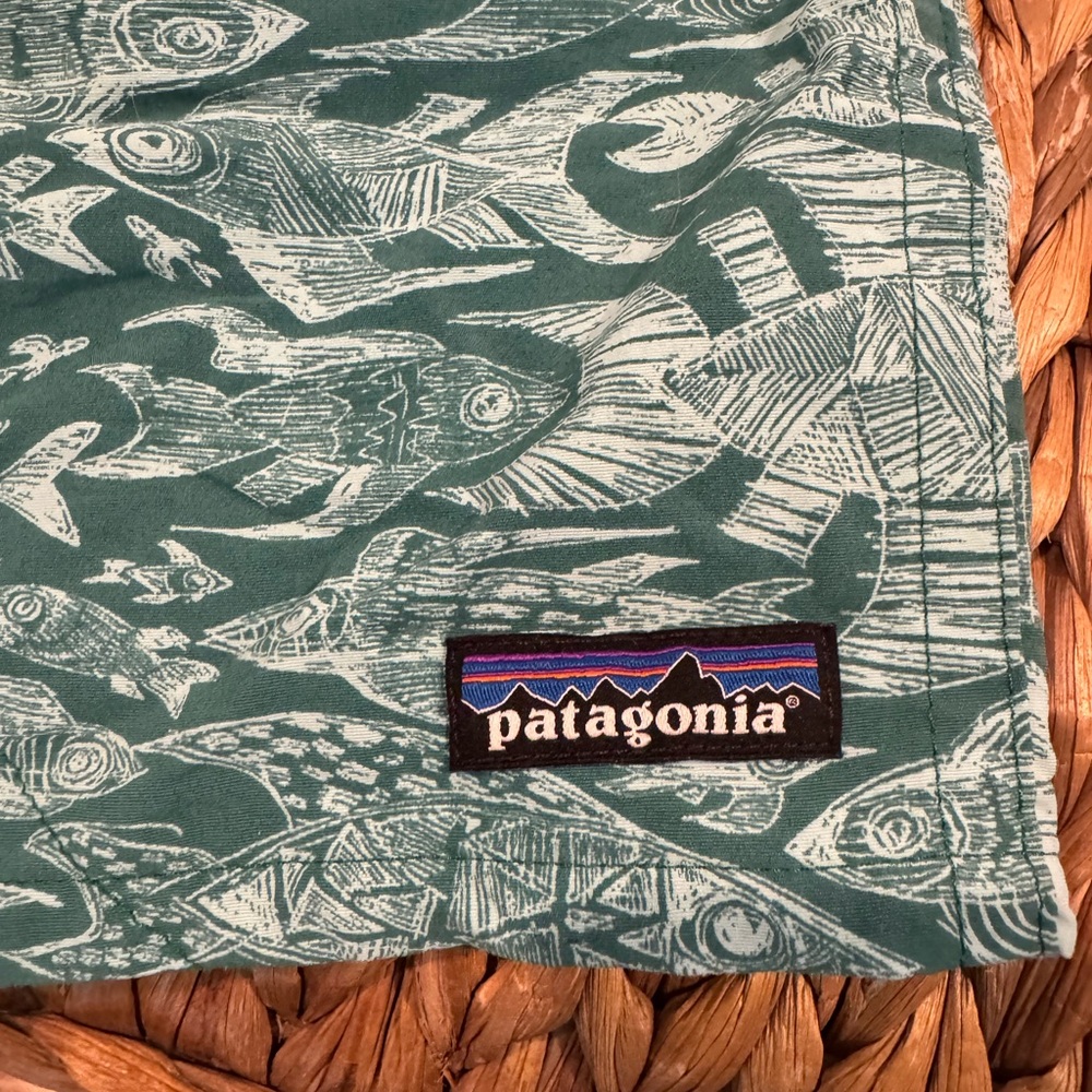 Men’s PATAGONIA swim trunks size smalll